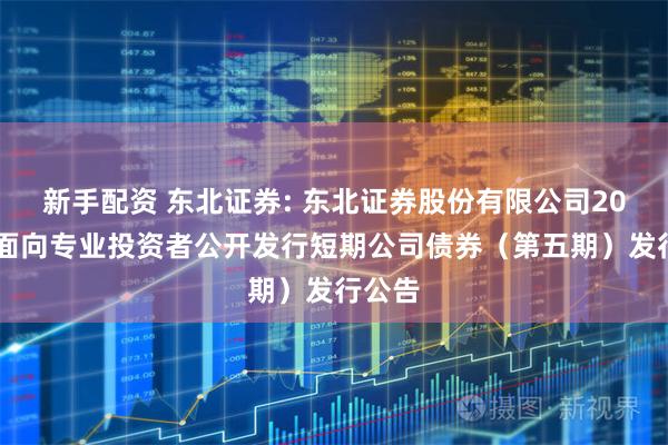 新手配资 东北证券: 东北证券股份有限公司2025年面向专业投资者公开发行短期公司债券（第五期）发行公告